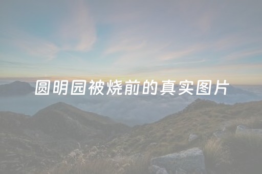 圆明园被烧前的真实图片（圆明园被烧前的真实图片大全）