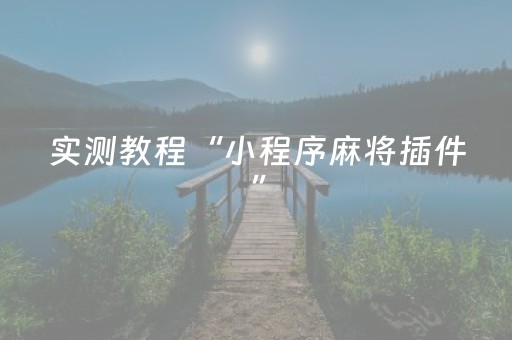 实测教程“小程序麻将插件”（详细透视教程）-哔哩哔哩