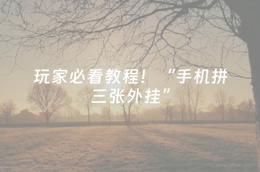玩家必看教程！“手机拼三张外挂”（详细开挂教程）-哔哩哔哩