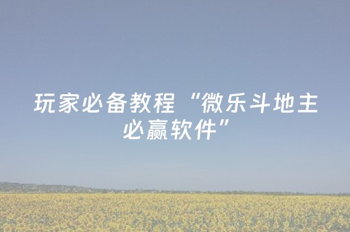 玩家必备教程“微乐斗地主必赢软件”（详细透视教程）-哔哩哔哩