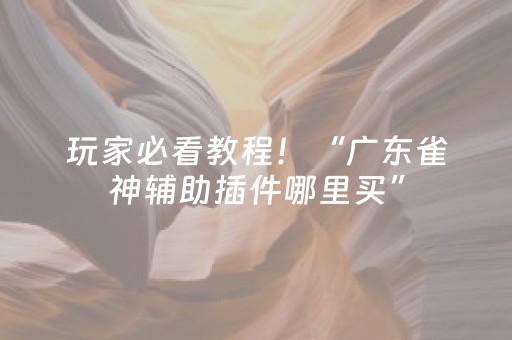玩家必看教程！“广东雀神辅助插件哪里买”（详细透视教程）-哔哩哔哩