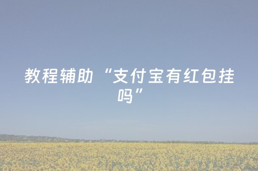 教程辅助“支付宝有红包挂吗”（详细透视教程）-哔哩哔哩