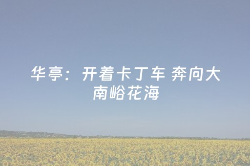 超实用软件神器!微乐捉鸡麻将控牌器(如何能得到好牌)