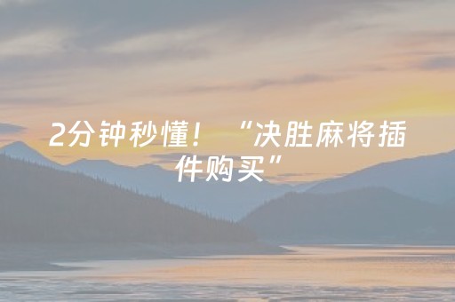 2分钟秒懂！“决胜麻将插件购买”（详细辅助教程）-哔哩哔哩
