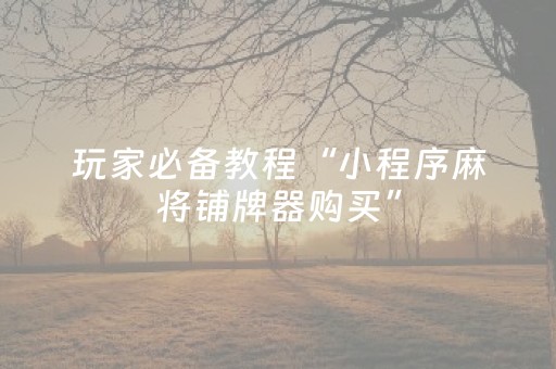 玩家必备教程“小程序麻将铺牌器购买”（详细透视教程）-哔哩哔哩