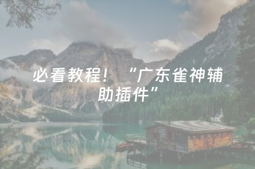 必看教程！“广东雀神辅助插件”（详细透视教程）-哔哩哔哩