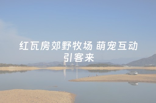 必试神器软件!旺旺福建麻将是不是输赢有规律(要怎么样拿到好牌)