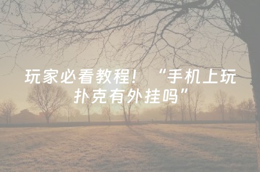 玩家必看教程！“手机上玩扑克有外挂吗”（详细开挂教程）-哔哩哔哩
