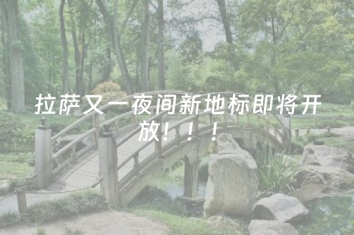 软件神器超燃!多乐跑胡子确实有挂的(怎样赢的几率大)