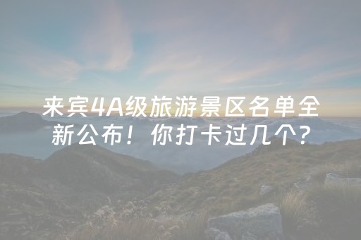 软件神器超猛!微乐湖北麻将胡牌神器(提高胜率方法)