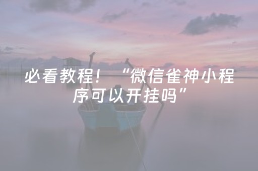 必看教程！“微信雀神小程序可以开挂吗”（详细透视教程）-哔哩哔哩