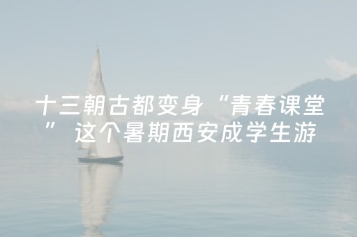 神器高效必备!微乐三代小程序必赢神器(辅牌器插件购买)