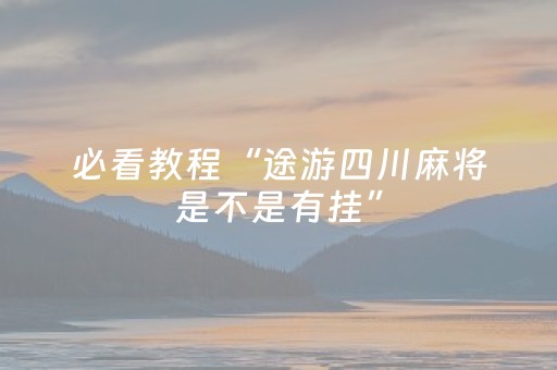 必看教程“途游四川麻将是不是有挂”（详细透视教程）-哔哩哔哩