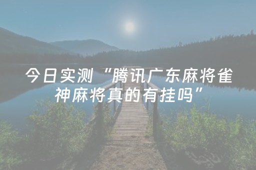 今日实测“腾讯广东麻将雀神麻将真的有挂吗”（详细辅助教程）-哔哩哔哩