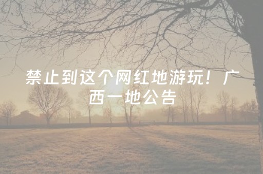 国家公园建设加快推进，四川如何探索人与自然和谐共生？丨守护共建国家公园