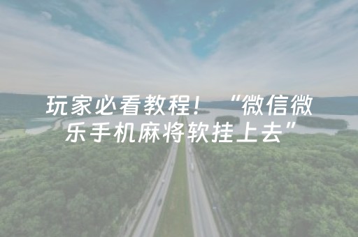 玩家必看教程！“微信微乐手机麻将软挂上去”（详细辅助教程）-哔哩哔哩