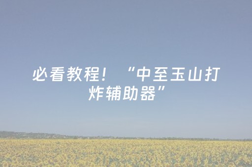 必看教程！“中至玉山打炸辅助器”（详细辅助教程）-哔哩哔哩