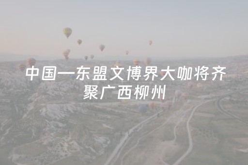 超绝软件工具!手机金花软挂神器(如何能一直赢)