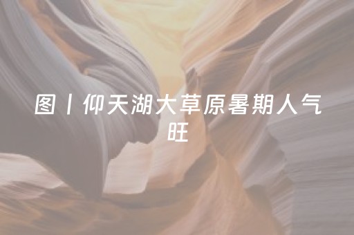 超牛软件神器哟!微乐斗地主透明器教程(怎么才能赢得多)
