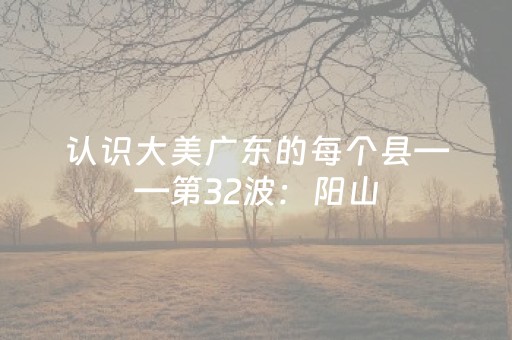 神器堪称典范!九九山城麻将其实是有挂安装插件的(赢牌的技巧)