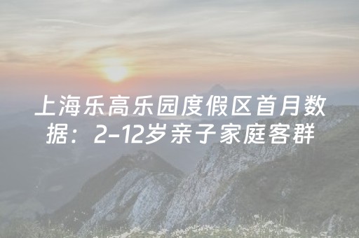 上海乐高乐园度假区首月数据：2-12岁亲子家庭客群占比超7成，大部分项目排队时间控制在30分钟以内