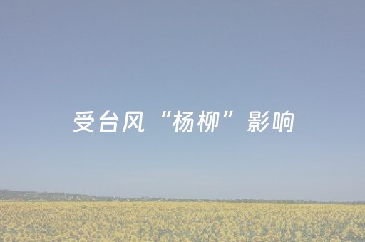 受台风“杨柳”影响，湖南这些景区临时关闭