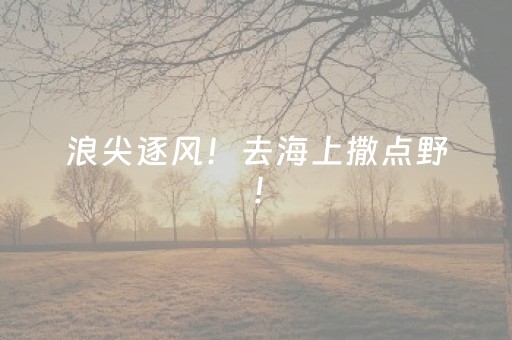 神器真心好用!雀神广东麻将胜负规律(提高胜率软件)