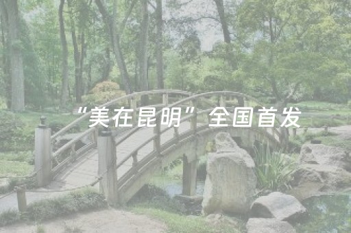 “美在昆明”全国首发