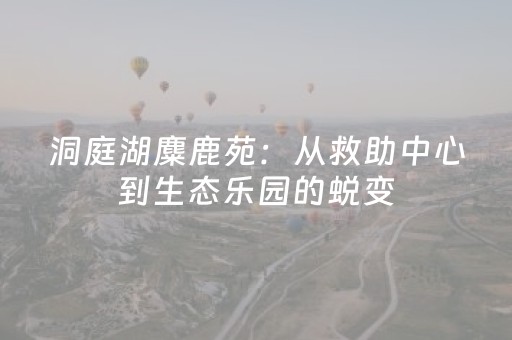 洞庭湖麋鹿苑：从救助中心到生态乐园的蜕变
