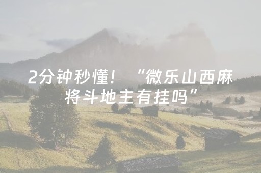 2分钟秒懂！“微乐山西麻将斗地主有挂吗”（详细透视教程）-哔哩哔哩