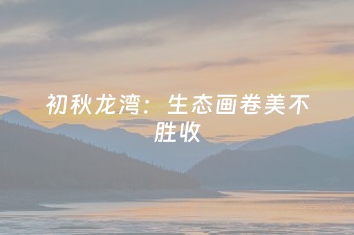 超实用软件神器!微乐湖南麻将怎么让系统给好牌(有没有技巧)