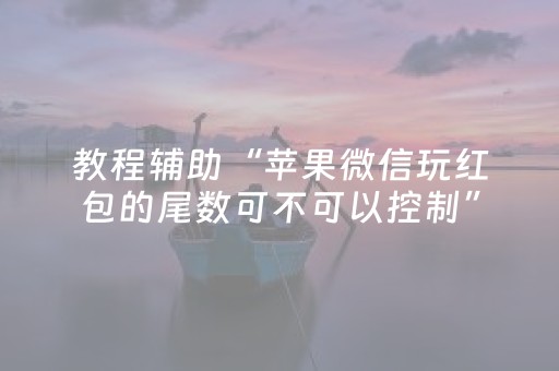 教程辅助“苹果微信玩红包的尾数可不可以控制”（详细透视教程）-哔哩哔哩