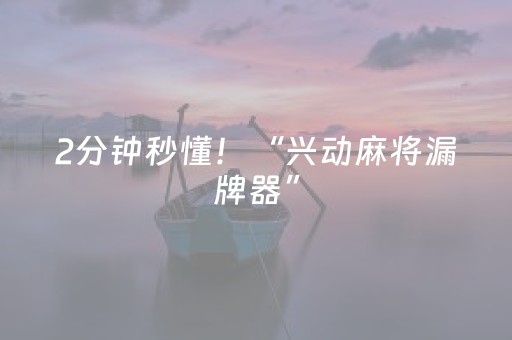 2分钟秒懂！“兴动麻将漏牌器”（详细透视教程）-哔哩哔哩