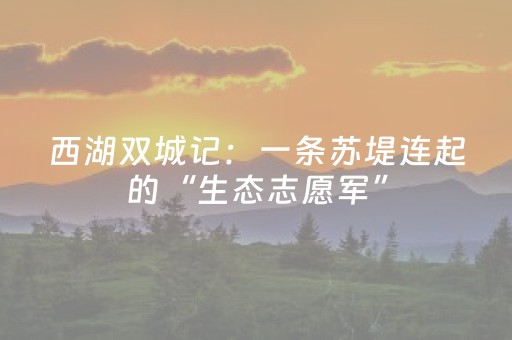 软件神器无双!微乐三代必赢神器辅助器(助攻神器)