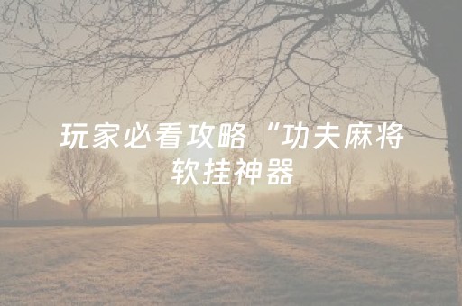 玩家必看攻略“功夫麻将软挂神器（助赢神器通用版）