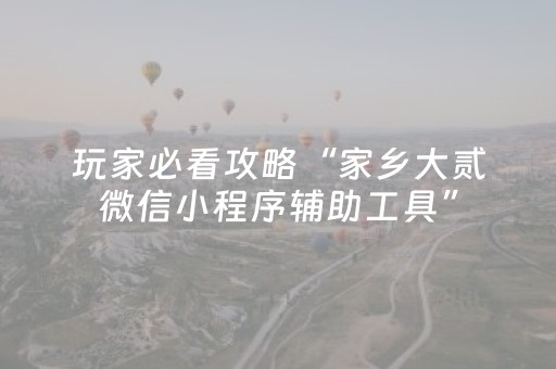 玩家必看攻略“家乡大贰微信小程序辅助工具”（详细透视教程）-哔哩哔哩