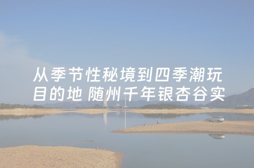 软件神器超优!微信跑得快怎么让系统发好牌(如何能一直赢)