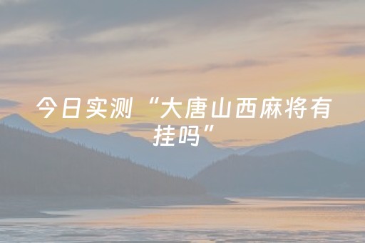 今日实测“大唐山西麻将有挂吗”（详细辅助教程）-哔哩哔哩