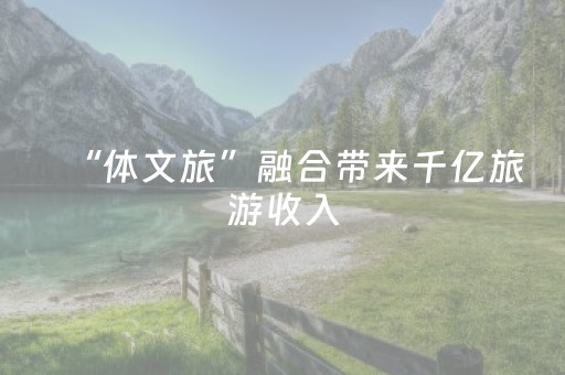 软件神器超闪!微乐河北麻将胡牌神器(透明器教程)