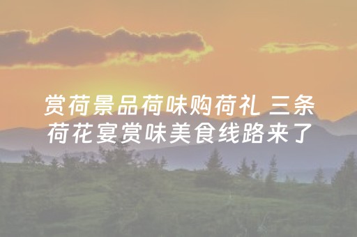 必藏软件神器!打两圈麻将辅牌器购买(有哪些猫腻)