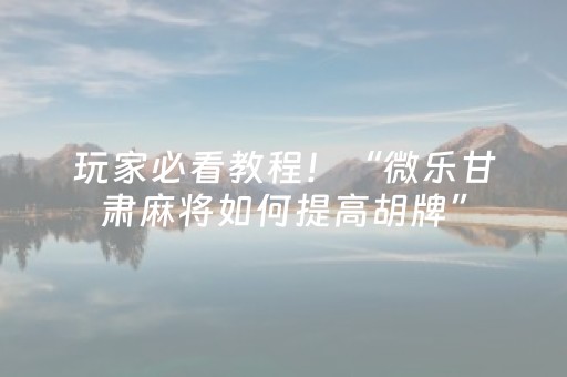 玩家必看教程！“微乐甘肃麻将如何提高胡牌”（详细透视教程）-哔哩哔哩
