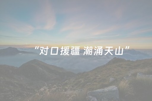 速来体验神器!东游手机麻将辅牌器购买(透明挂辅助器)