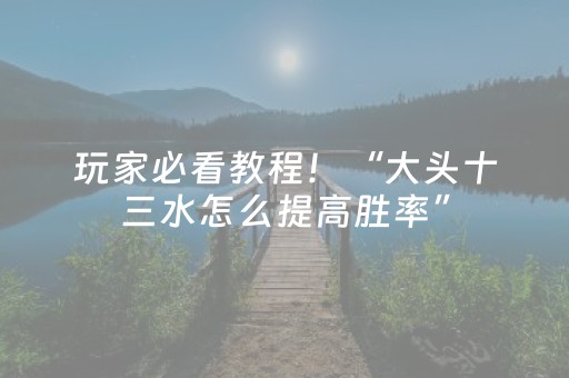 玩家必看教程！“大头十三水怎么提高胜率”（详细开挂教程）-哔哩哔哩