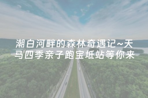 必存软件神器!微乐甘肃麻将自建房怎么提高胜率(怎么设置才能赢)