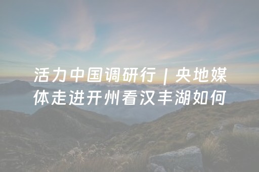 超实用的神器!中至上饶麻将其实是有挂的(微乐助赢神器)