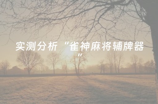 实测分析“雀神麻将辅牌器”（详细辅助教程）-哔哩哔哩