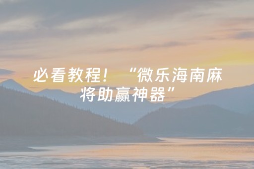 必看教程！“微乐海南麻将助赢神器”（详细透视教程）-哔哩哔哩