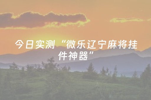 今日实测“微乐辽宁麻将挂件神器”（详细开挂教程）-哔哩哔哩