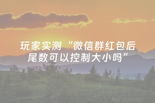 玩家实测“微信群红包后尾数可以控制大小吗”（详细透视教程）-哔哩哔哩