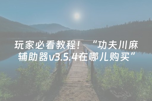 玩家必看教程！“功夫川麻辅助器v3.5.4在哪儿购买”（详细开挂教程）-哔哩哔哩